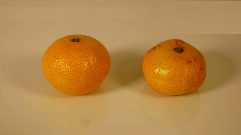 hình ảnh  thực vật trái cây trái cam món ăn Sản xuất khỏe mạnh thơm  ngon lá Dinh dưỡng Trái cây Kumquat Chất dẻo thức ăn chay vitamin  những quả cam